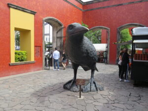 Guest exploring José Cuervo agave fields during Reposado Tequila Tour Jalisco