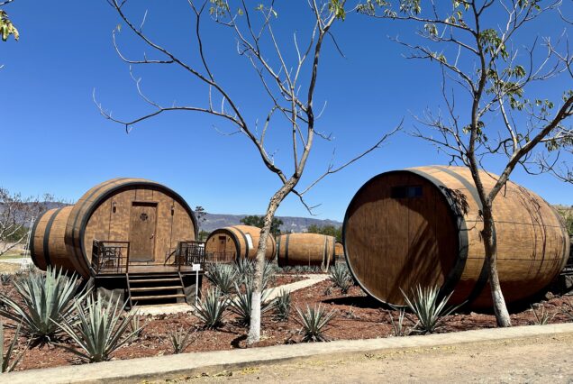 La Cofradia tequila barrels in the agave fields of Tequila, Jalisco