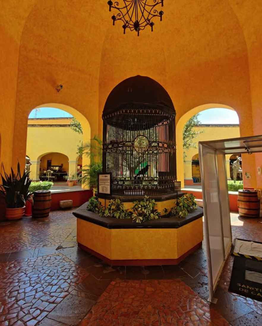 José Cuervo Distillery Tours — La Rojeña tastings