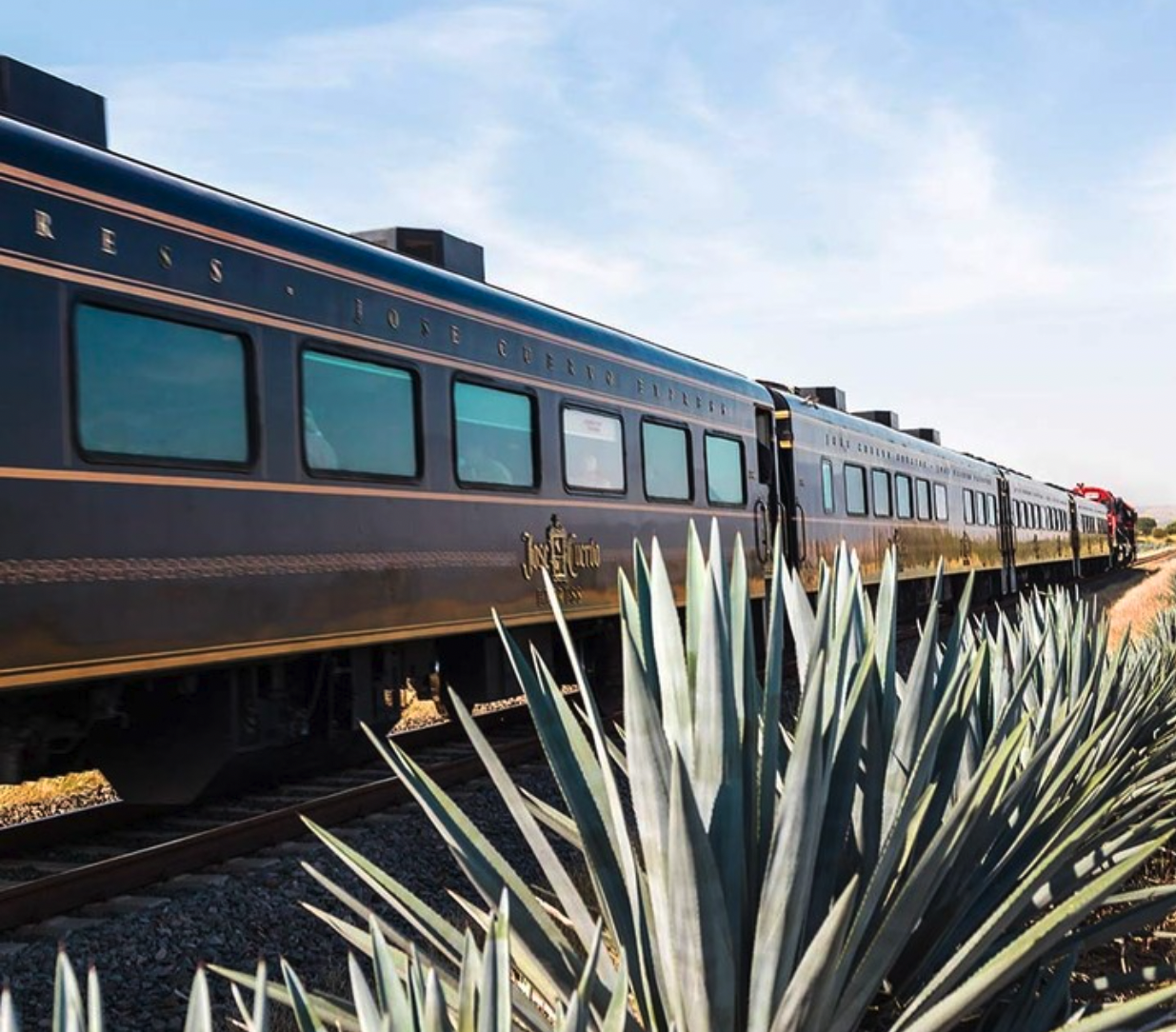 José Cuervo Tours 7 Amanecer train to Tequila through agave fields