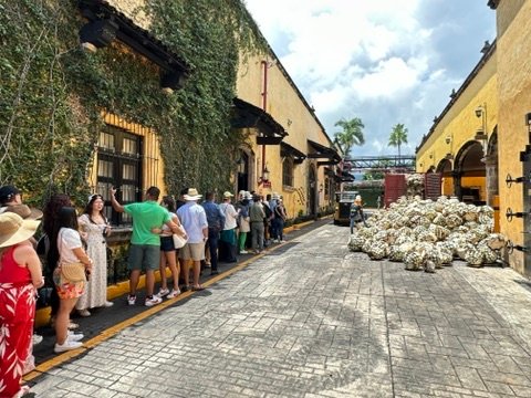 Visitors walking along the vibrant streets near La Rojeña at the Jose Cuervo Express Premium Plus in Tequila, Mexico.