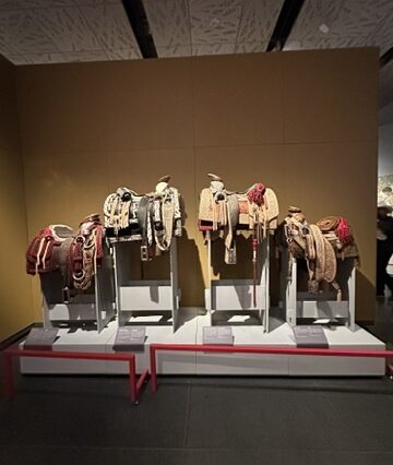 Tequila tasting setup with glasses arranged at the Jose Cuervo Express Premium Plus experience in Tequila, Mexico.