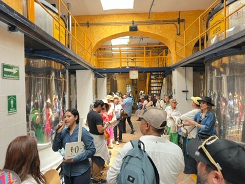 Invitados sentados en el interior del José Cuervo Express Premium Plus tren durante su viaje a Tequila, México.