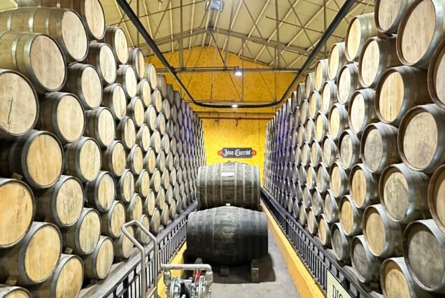 Amplio patio de entrada a La Rojeña Destilería, una parte de el Jose Cuervo Express Premium Plus experiencia en Tequila, México.