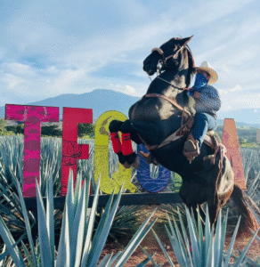 Visitors at the Tequila sign during the Súbete al Chile Tour with TQM’s Private Tequila Tours.