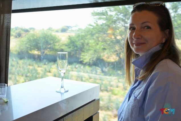 Woman smiling inside the Tequila Express Train with a scenic agave field view.