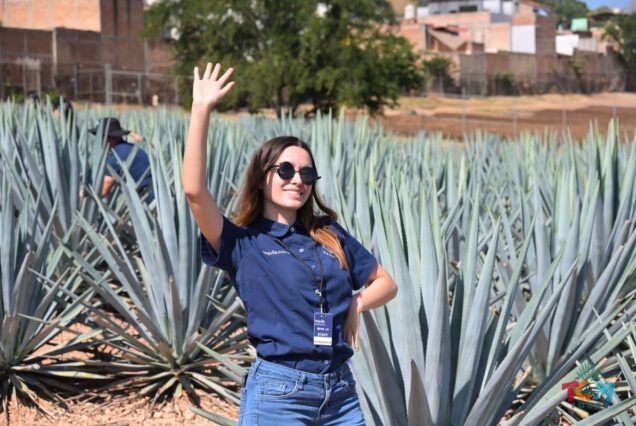 Staff member from the Tequila Express Train posing among blue agave plants.