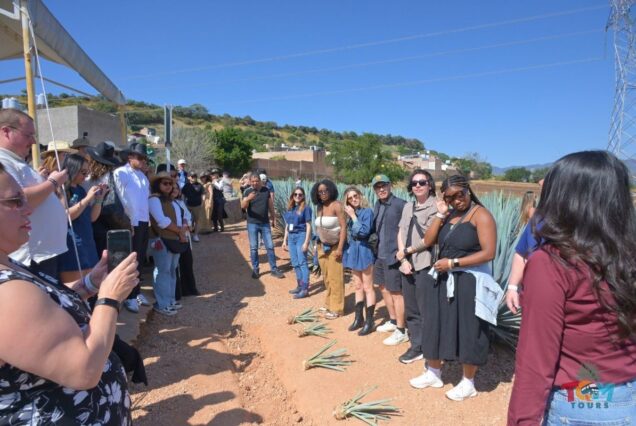 Large group standing in a semicircle during an activity on the Tequila Express Train tour.