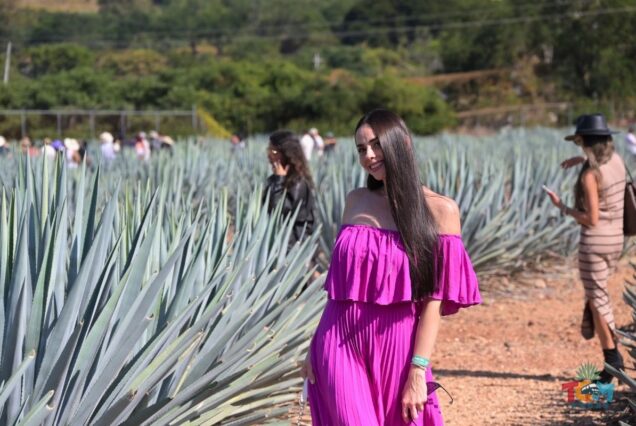 Woman in a bright pink dress posing among blue agave plants.