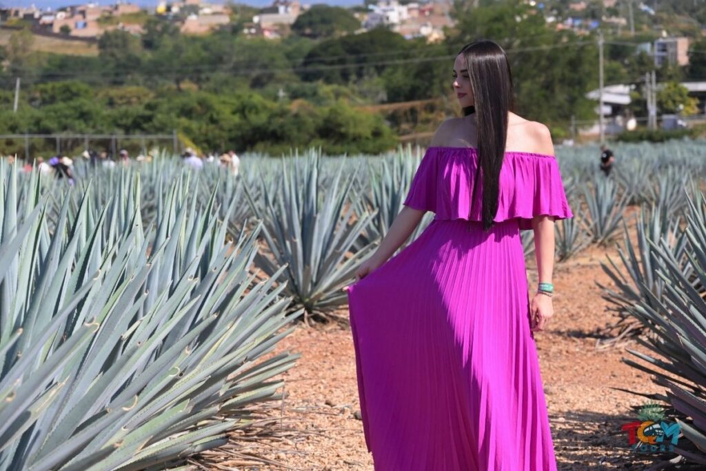 Woman in a long pink dress standing in the agave fields during the Tequila Express Train tour.