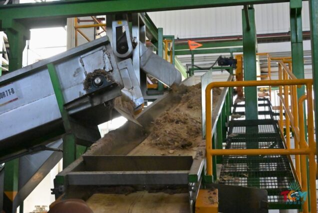 Machinery conveyor transporting shredded agave fibers inside a tequila production facility.