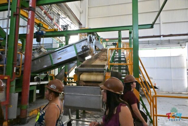 Visitors wearing brown hard hats observing the agave shredding machinery inside the distillery.