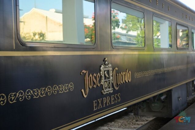 Jose Cuervo Express Train exterior in black and gold at the station