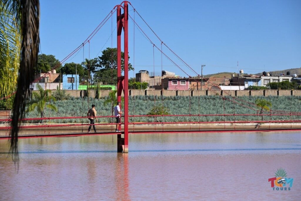 60_TQM Tours - Tequila Fortaleza