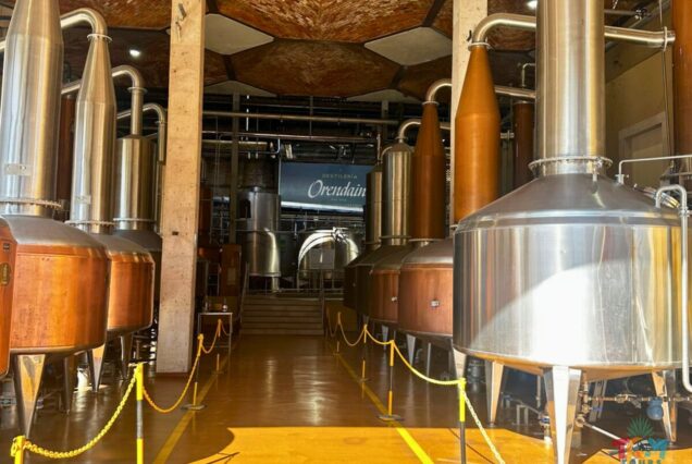 Orendain Tequila Distillery Tour showcasing copper distillation stills inside the Orendain distillery in Jalisco