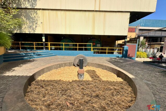 Orendain Tequila Distillery Tour featuring the traditional tahona stone used for agave crushing at the Orendain distillery in Jalisco
